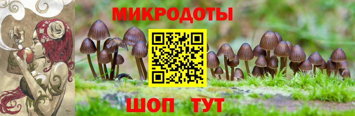 Галлюциногенные грибы Psilocybine cubensis Орск