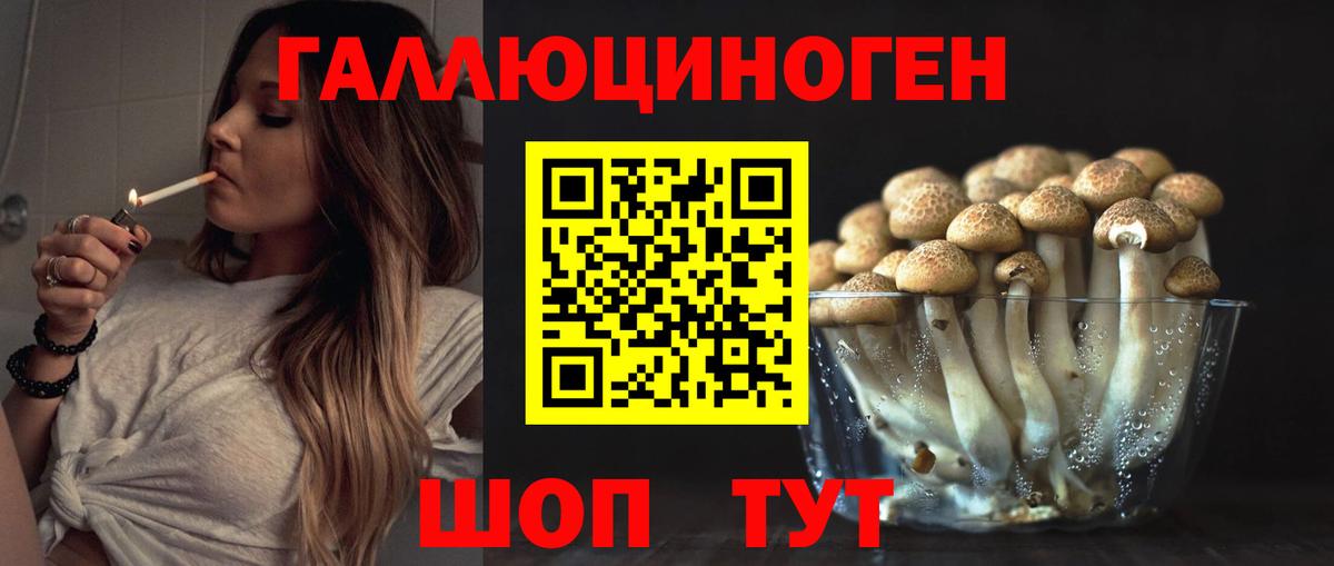 Орск  Псилоцибиновые грибы прущие грибы  Галлюциногенные грибы Psilocybine cubensis  Вход с VPN 